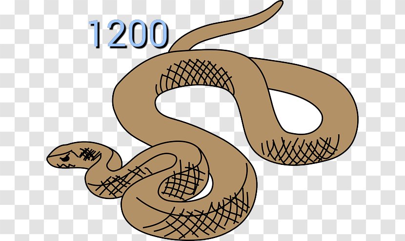 Eastern Brown Snake Reptile Clip Art - Scaled Transparent PNG