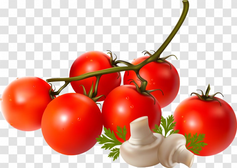 Plum Tomato Vegetable Food Vegetarian Cuisine - Stew Transparent PNG