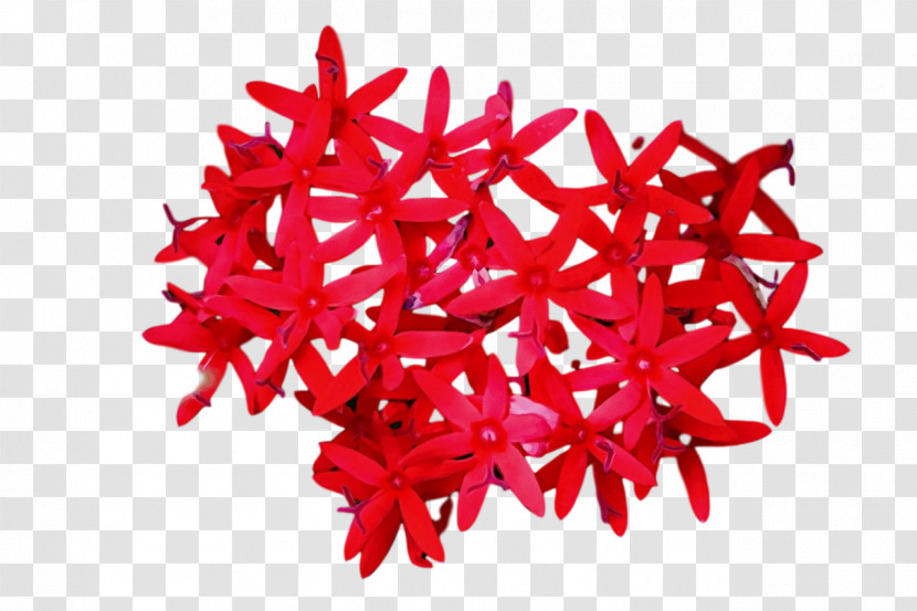 Christmas Ornament Transparent PNG