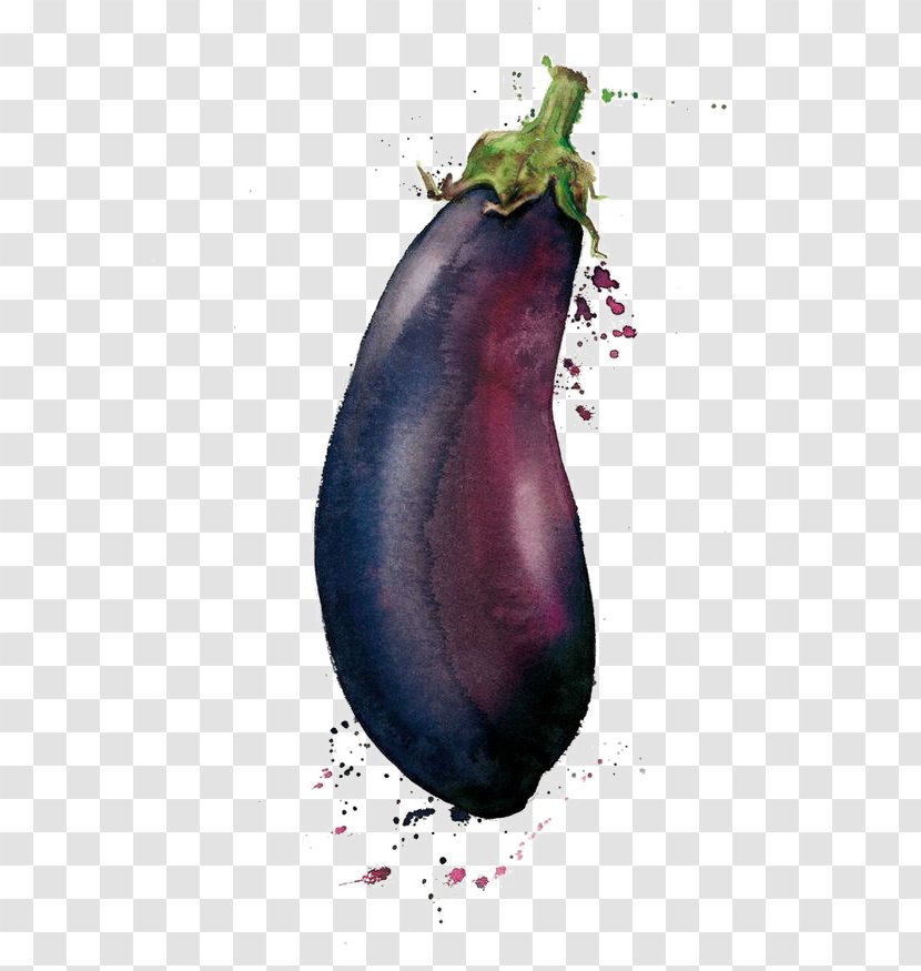 Watercolor Painting Vegetable Drawing Illustration - Eggplant Transparent PNG