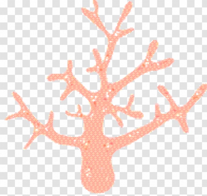 Coral Background - Pink - Tree Branch Transparent PNG