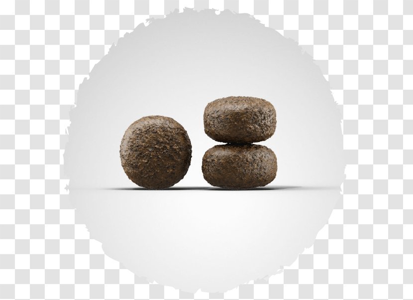 Agneau Sheep Dog Rice Lamb And Mutton - Croquette Transparent PNG