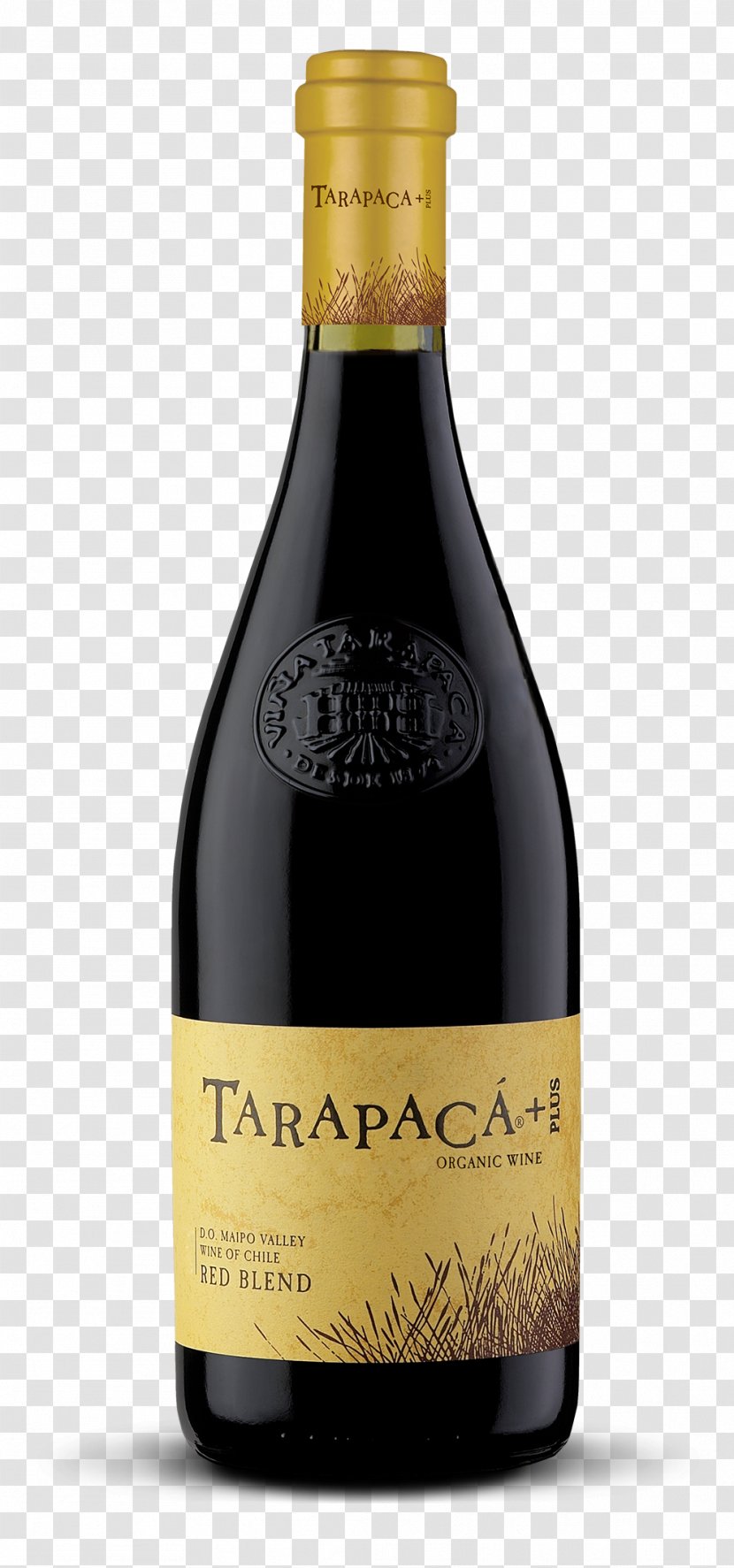 Champagne Red Wine Alella DO Tarapacá Region - Grape Transparent PNG