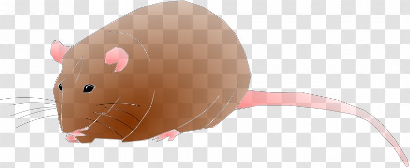 Rat Computer Desktop Wallpaper Clip Art - Pest Transparent PNG