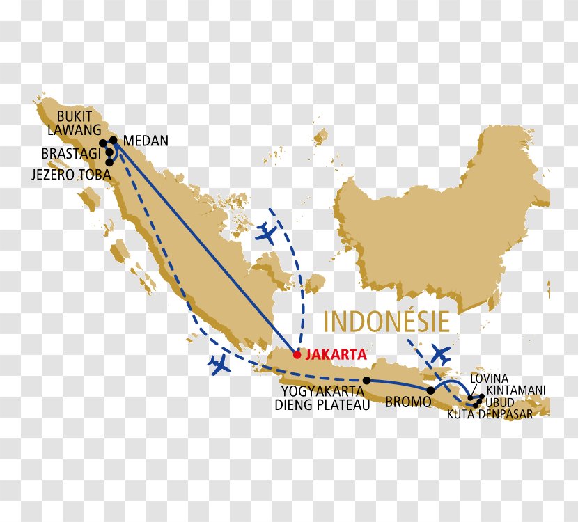 Map Line Tuberculosis Transparent PNG