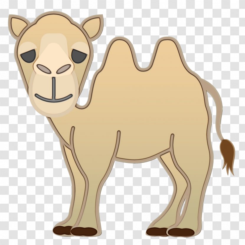 Emoji Background - Bactrian Camel - Wildlife Animal Figure Transparent PNG