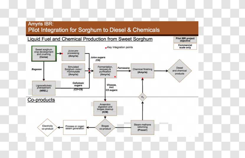 Sweet Sorghum Diesel Fuel Biorefinery - Brand Transparent PNG