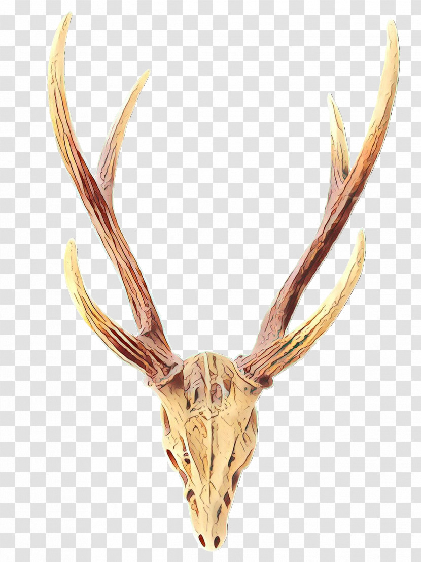 Horn Antler Head Deer Elk Transparent PNG