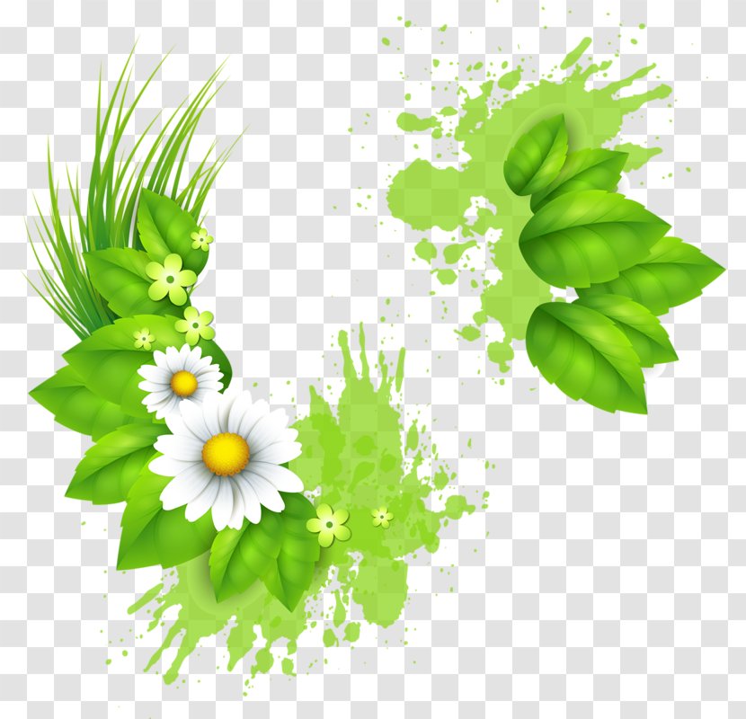 Element - Flower - Daisy Transparent PNG