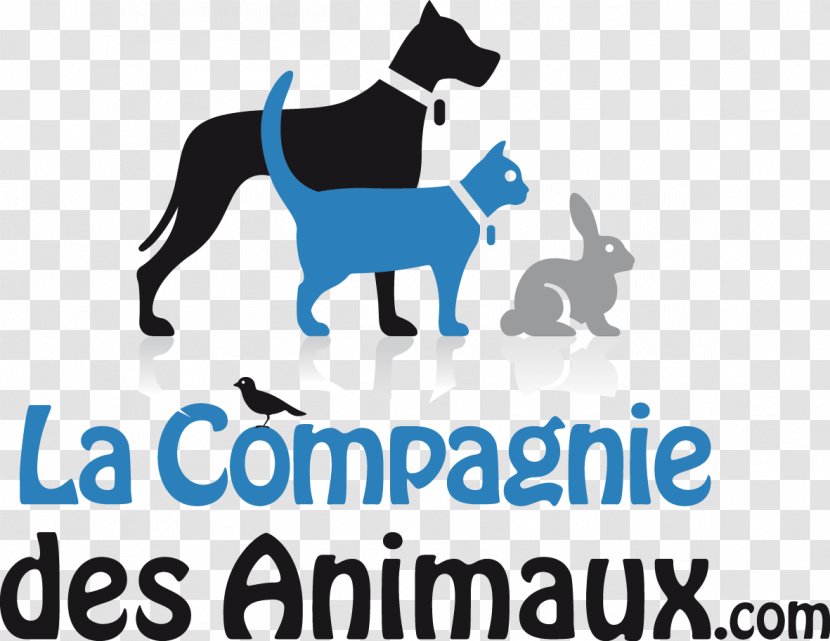Dog Breed Puppy A La Compagnie Des Animaux - Human Transparent PNG