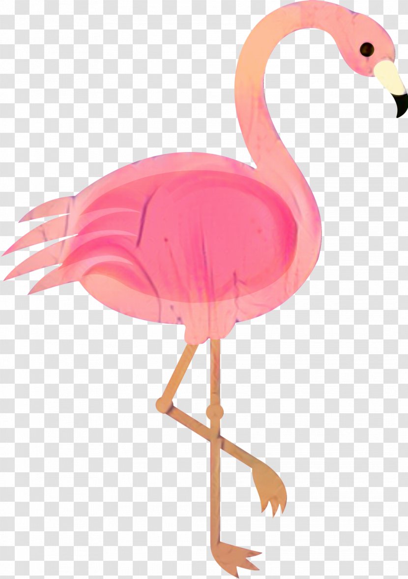 Flamingo Illustration Drawing Image - Cartoon - Photography Transparent PNG