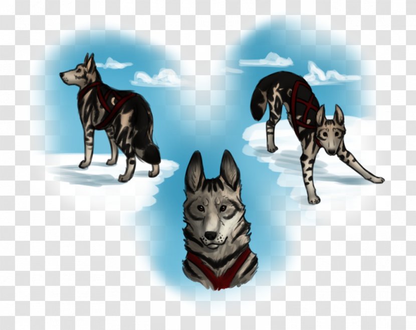 Siberian Husky Dog Breed Sled - Carnivoran Transparent PNG