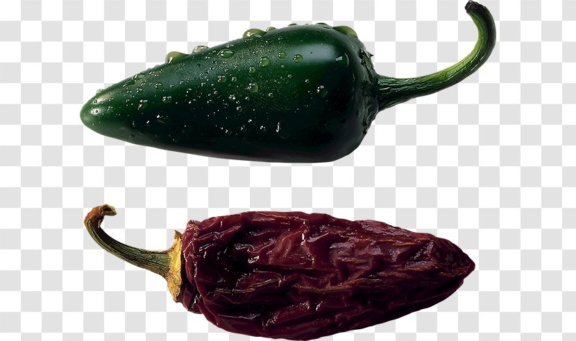 Serrano Pepper Jalapeño Poblano Pasilla Chili Con Carne - Vegetable Transparent PNG
