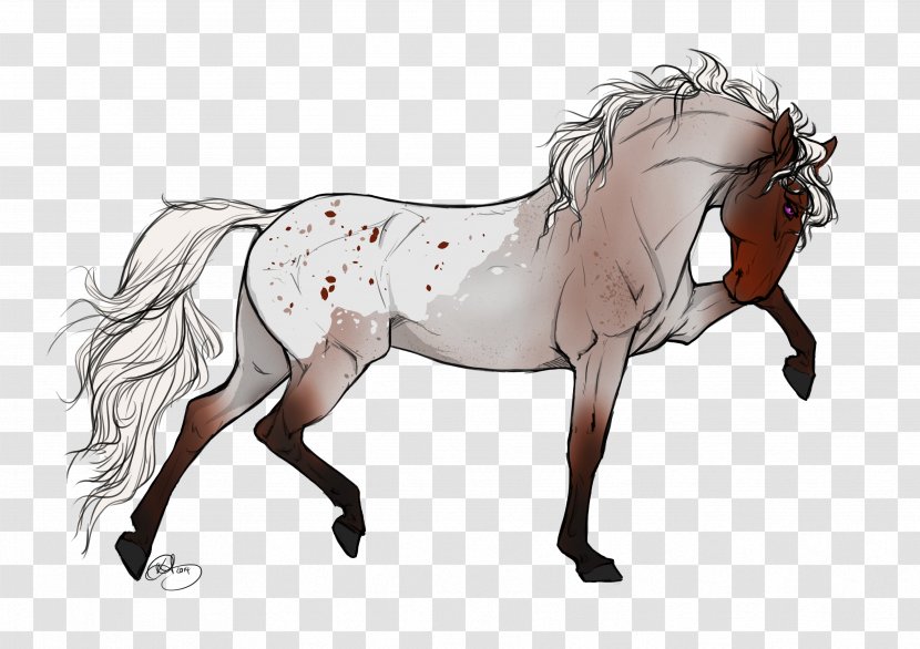 Appaloosa Arabian Horse Friesian Stallion Roan - Mammal - German Longhaired Pointer Transparent PNG