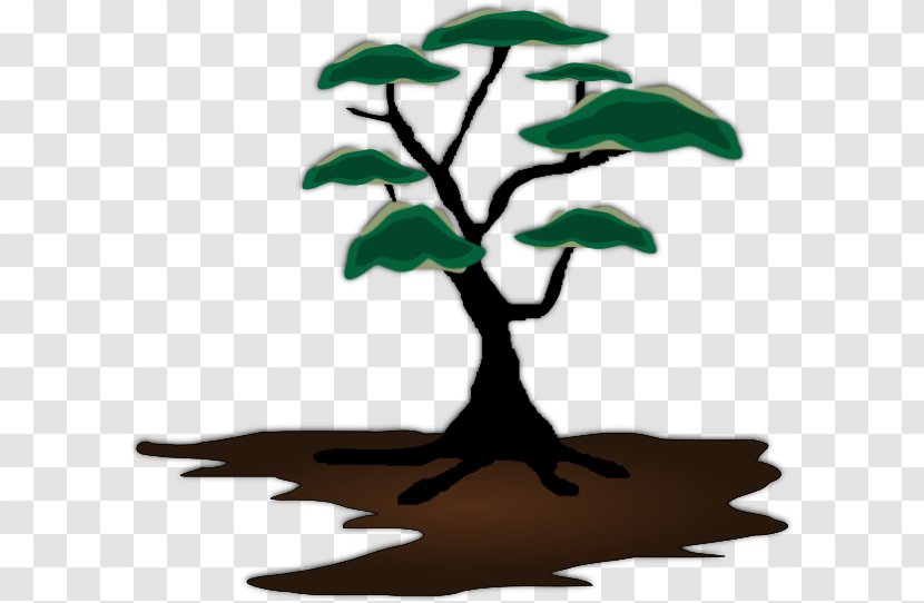 African Trees Clip Art - Tree Transparent PNG