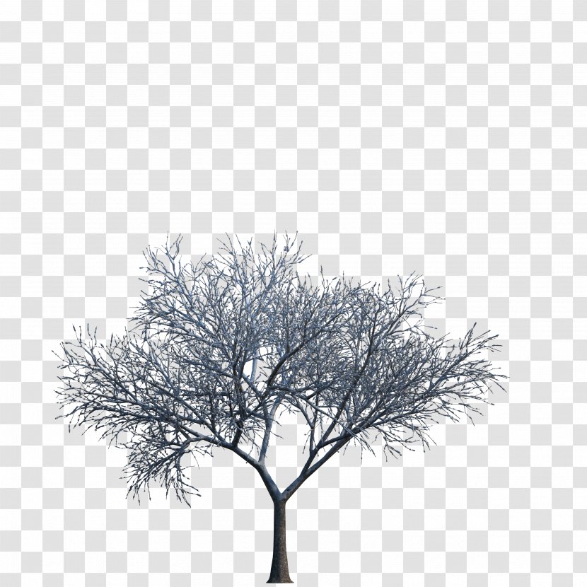 Tree Download 3D Computer Graphics - Black And White Transparent PNG