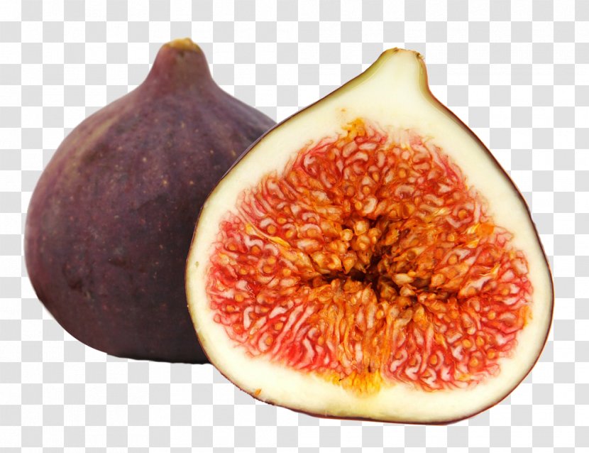 Fig Cake Common Fruit Tree Food - Moraceae - Promotion Transparent PNG
