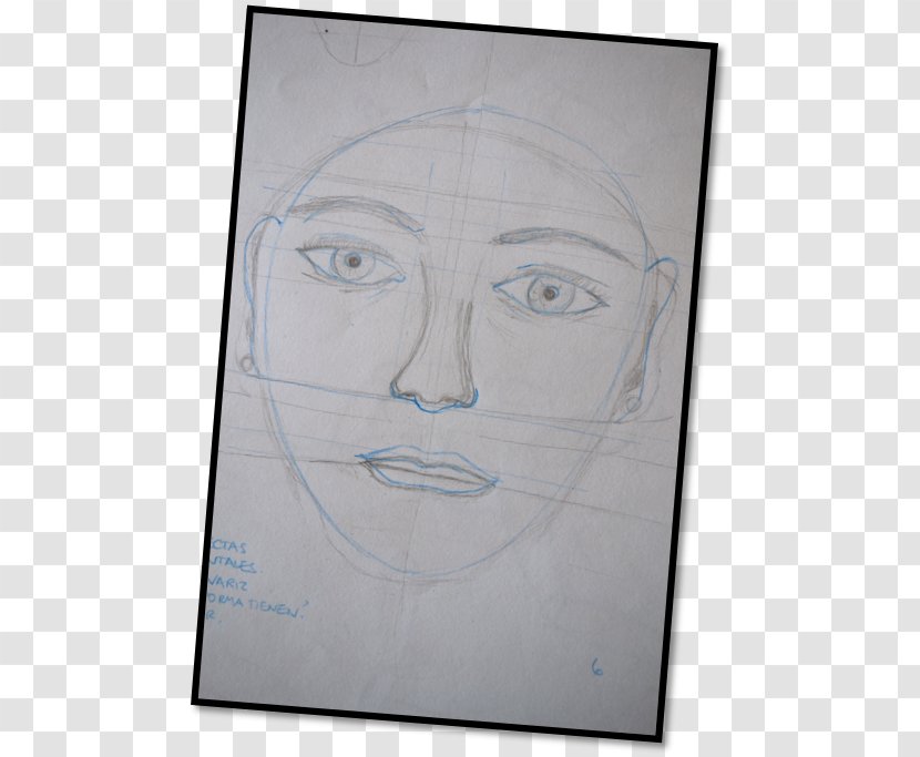Drawing Human Body Learning Sketch - Bertikal - FIGURA HUMANA Transparent PNG
