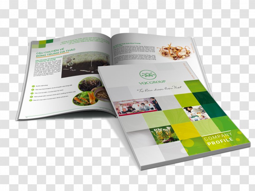Trademark Brochure Service - Brand - Design Transparent PNG