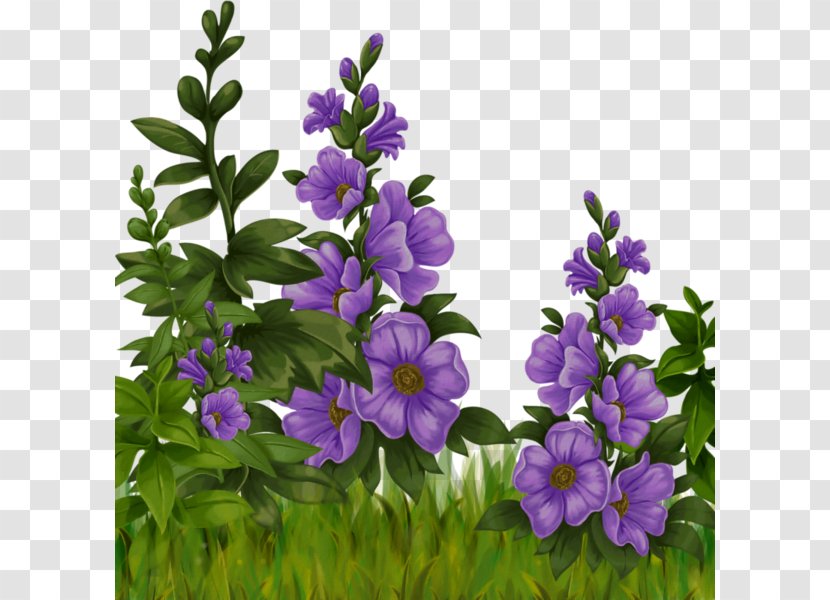 Sadness Hammock Fight Flower - Purple Hibiscus Transparent PNG