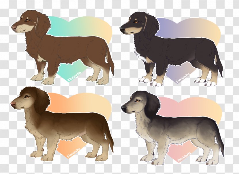 Saluki Dog Breed Hound Fauna Wildlife - Honey Moon Transparent PNG