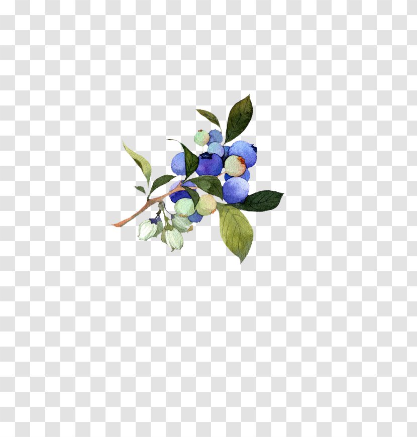 U91ceu679c Auglis Blueberry Aedmaasikas - Fruit Antiquity Transparent PNG