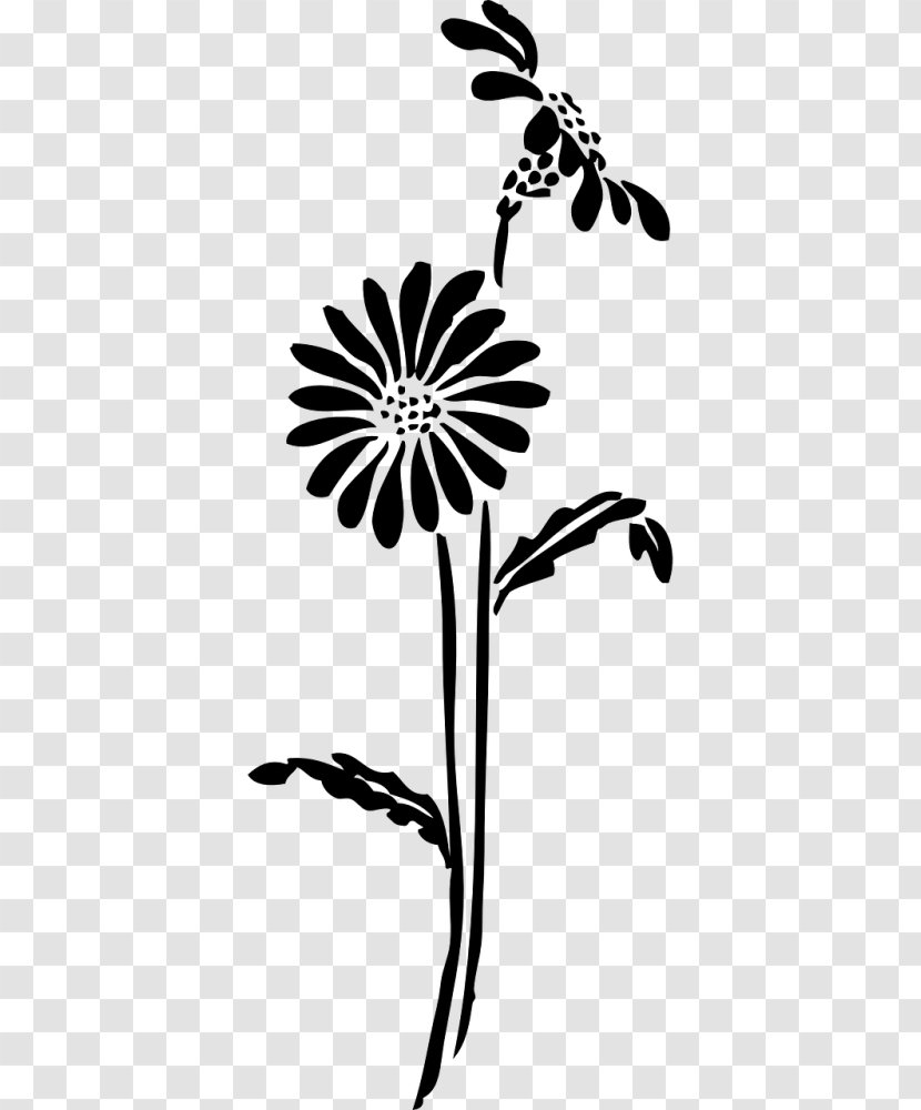 Drawing Of Family - Plant Stem - Daisy Herbaceous Transparent PNG
