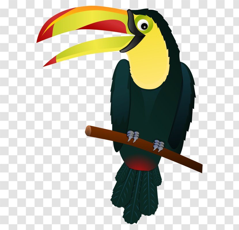 Bird Keel-billed Toucan Snake Clip Art - Hornbill - Big Clipart Transparent PNG