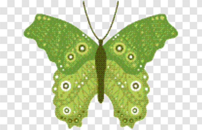 Butterfly Cartoon - Pollinator - Luna Moth Papilio Transparent PNG