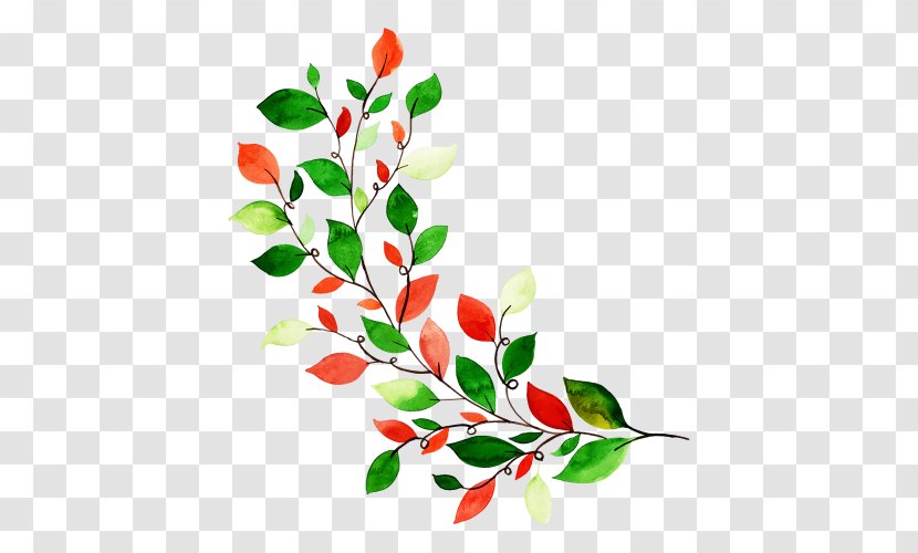 Flowers Background - Plant - Tree Holly Transparent PNG