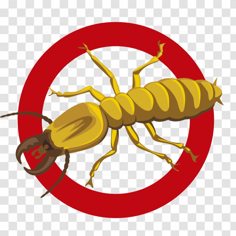 Insect Clip Art Pest Control Termite - Fly Transparent PNG