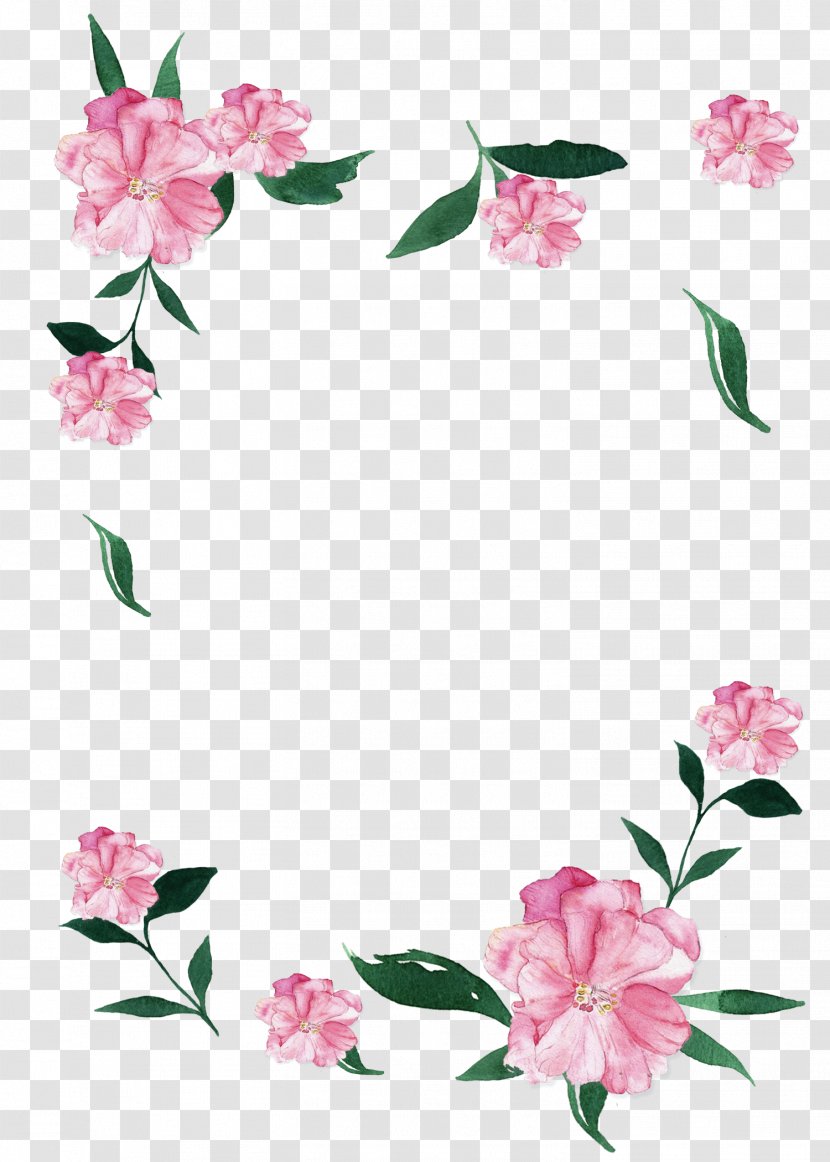 Cut Flowers Color Skin Innisfree - Blossom - Flower Transparent PNG