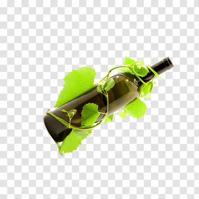 Wine Leaf Green - Bottle Transparent PNG