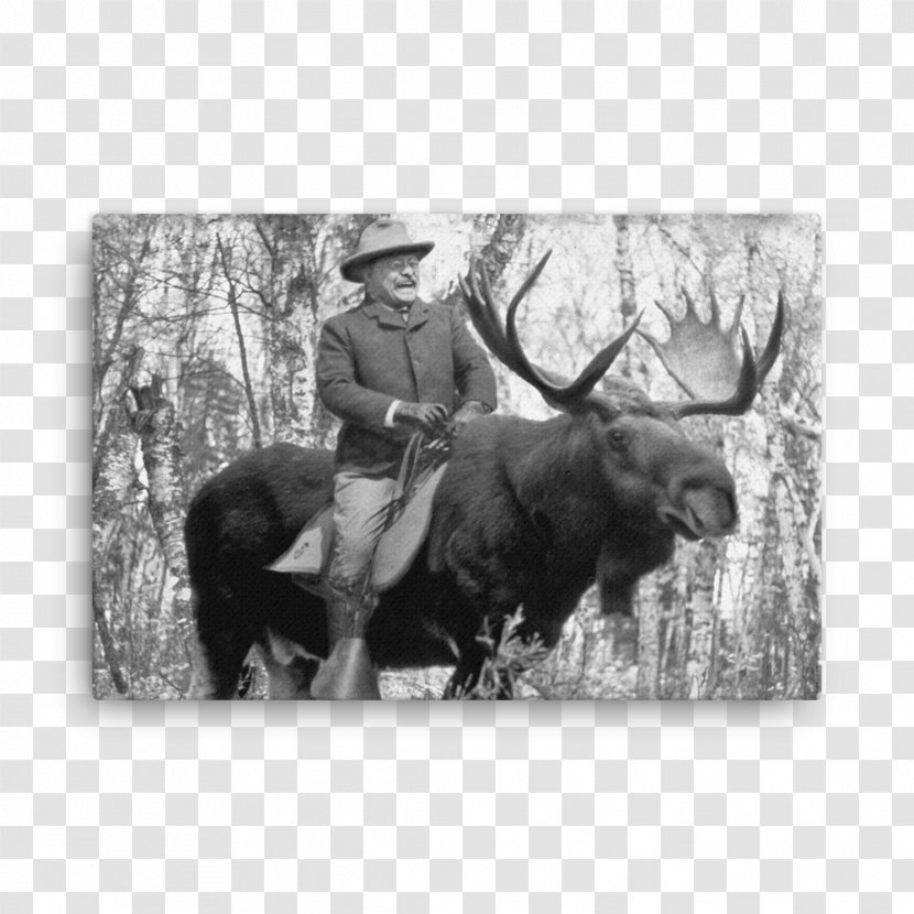 Moose Progressive Party T-shirt Deer Hunting - Antler - Typographic Poster Transparent PNG
