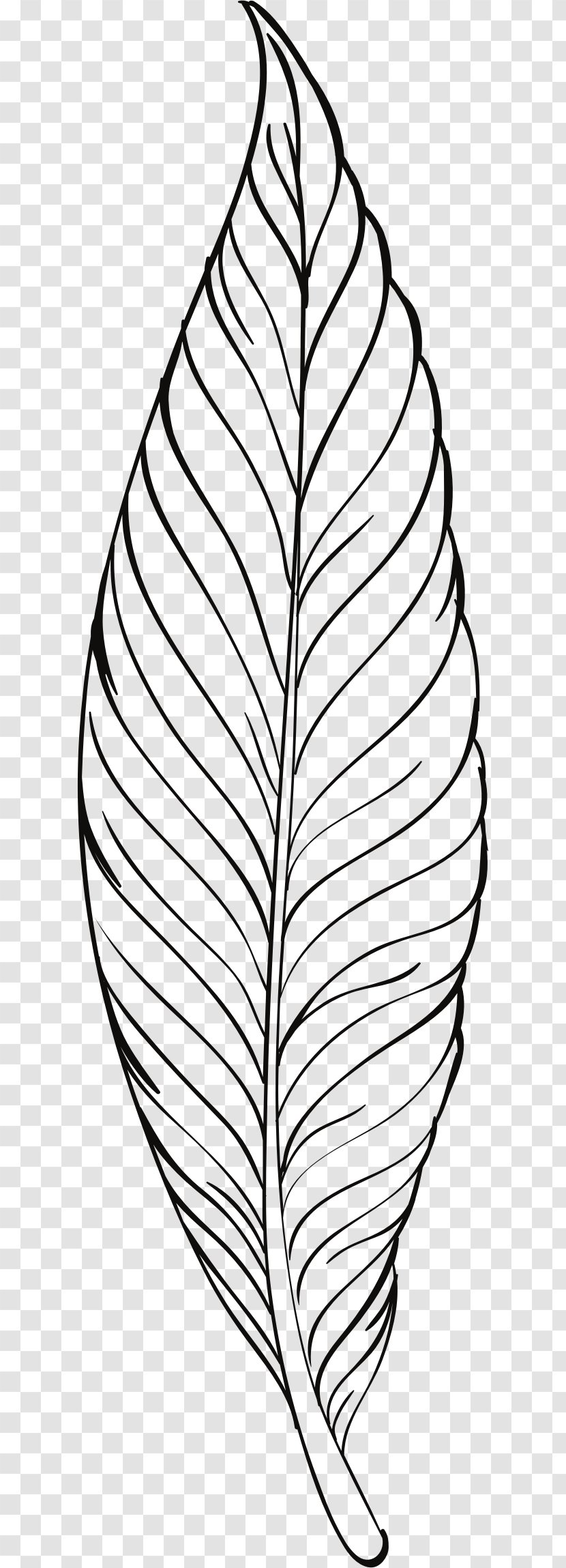 Lovebird Feather Drawing Clip Art - Black And White - Line Transparent PNG