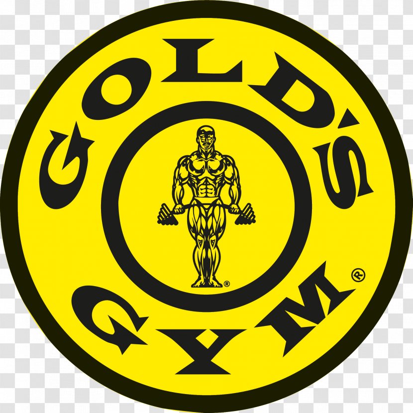 Fitness Centre Gold's Gym Bench Physical - Yellow - Sports Equipment Transparent PNG