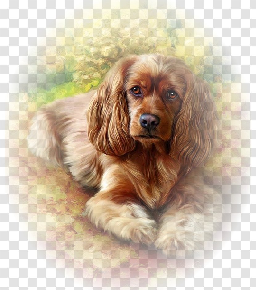 English Cocker Spaniel Paint By Number Painting Drawing Cavalier King Charles - American Transparent PNG