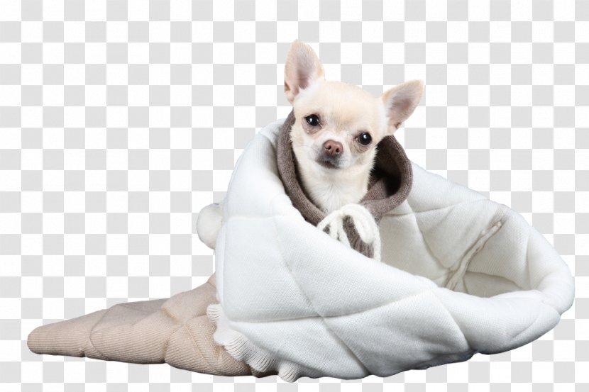 Chihuahua Puppy Dog Breed Companion Toy Transparent PNG