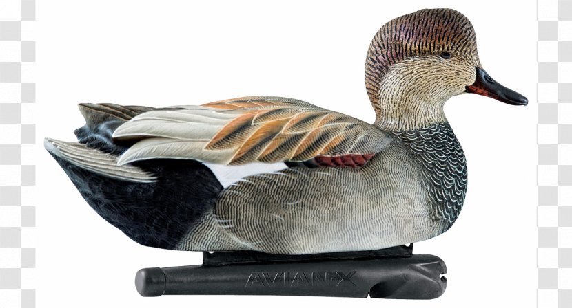 Duck Decoy Goose Gadwall Chard - Ganso Transparent PNG