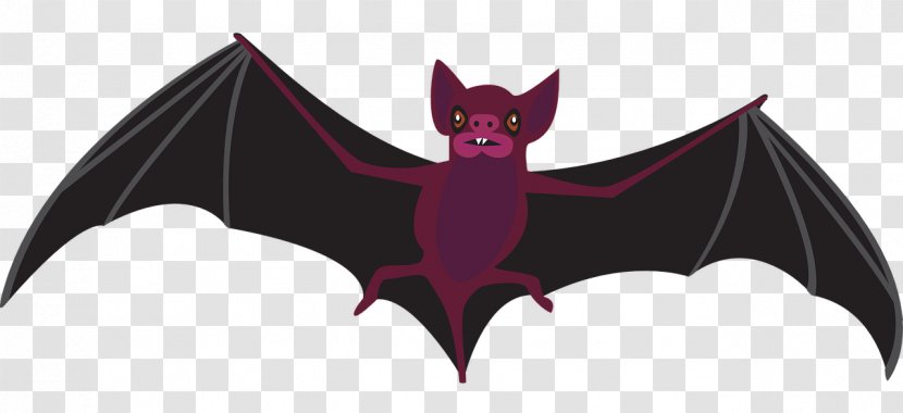 Bat - Art - Vampire Transparent PNG