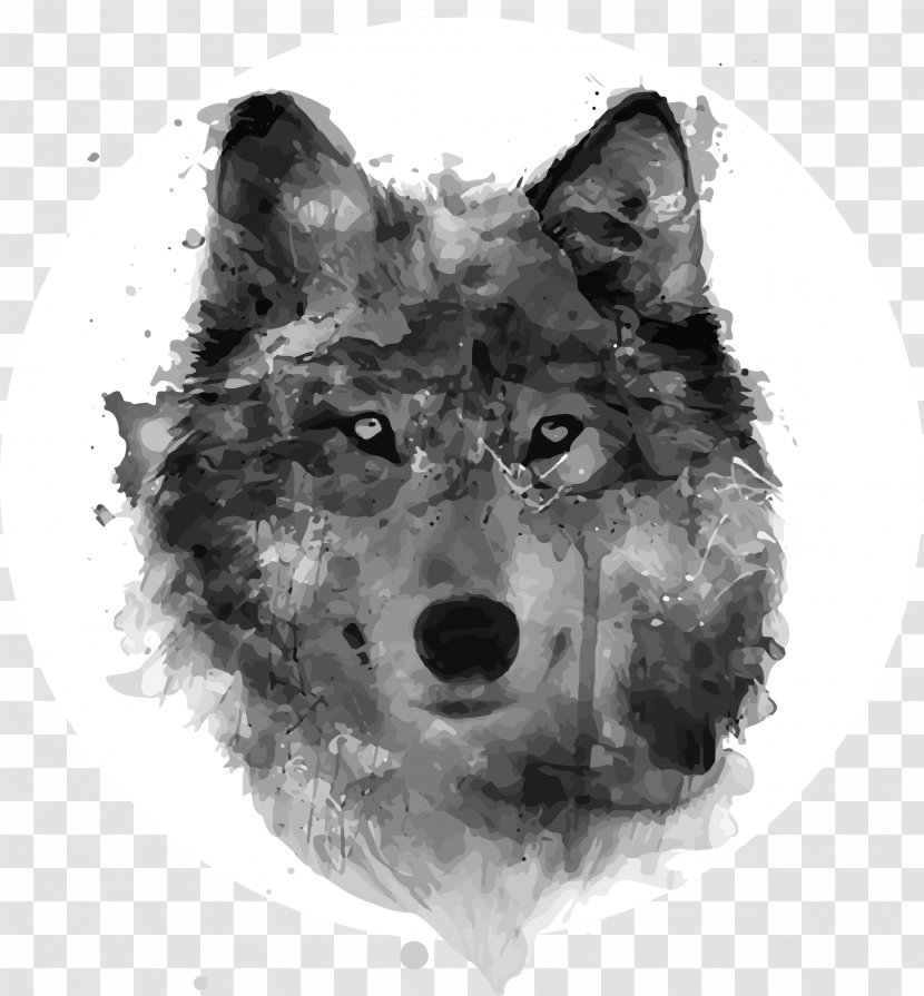 Gray Wolf Watercolor Painting Drawing Watercolour Flowers - Artist Transparent PNG