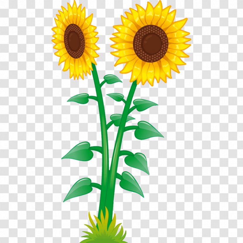 Child Common Sunflower Sticker Adhesive - Frame Transparent PNG