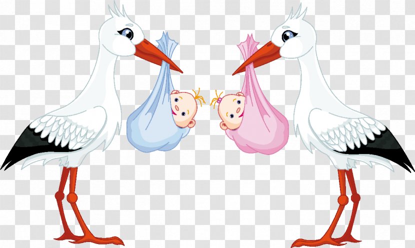 White Stork Infant Clip Art - Water Bird - Baby Shower Transparent PNG