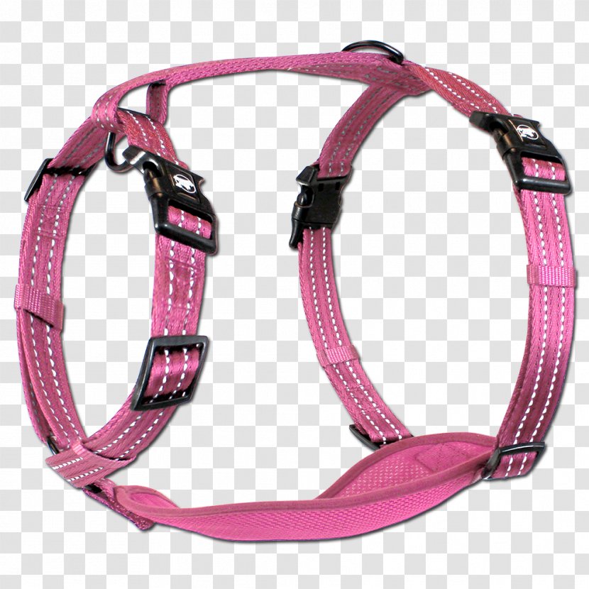 Dog Harness Leash Horse Harnesses Tack - Collar Transparent PNG