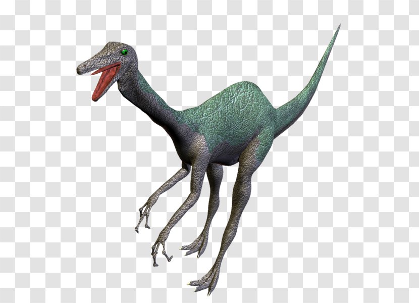 Velociraptor Dinosaur PhotoScape Clip Art - Beak - Dinosaurs Transparent PNG