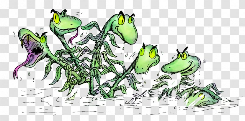 Tree Frog Line Art Hydrilla Clip - Fictional Character Transparent PNG