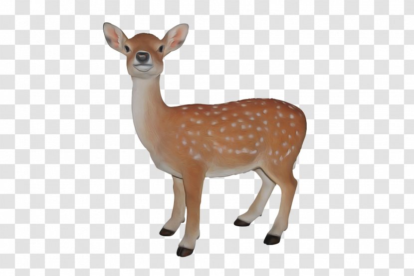Deer Animal Figure Wildlife Figurine Fawn - Whitetailed Toy Transparent PNG