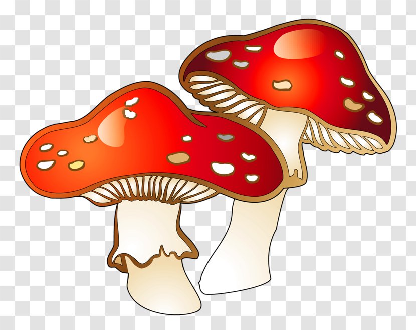 Mushroom Fungus Clip Art - Frame - Red Transparent PNG