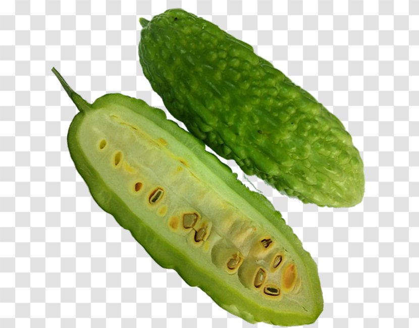 Plant Scarlet Gourd Momordica Charantia Food Cucumis - Cucumber - Vegetable Transparent PNG