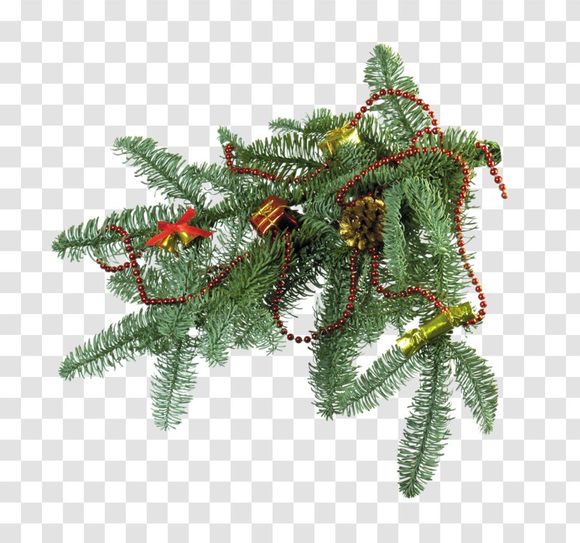 Christmas Tree New Year Fir Day - Terrestrial Plant Transparent PNG